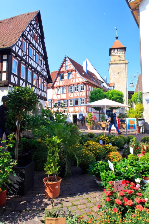 Historische Gebäude mit Fachwerkfassade, Blumenmarkt und Menschen in einem belebten Platz. (KI generiert)