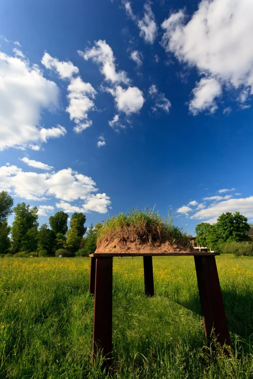 Ein grasbewachsener Hügel auf einer Metallstruktur in einer Wiese mit gelben Blumen unter einem blauen Himmel mit weißen Wolken. (KI generiert)