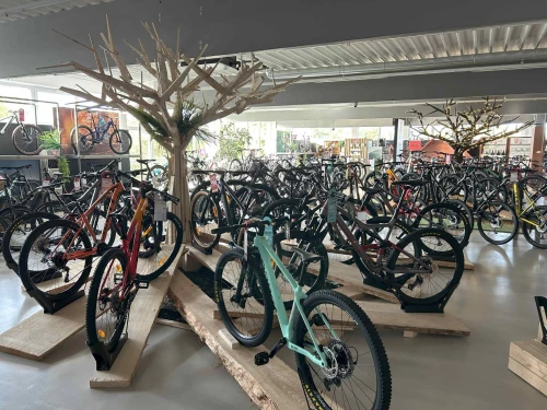 Ein Fahrradgeschäft mit vielen verschiedenen Fahrrädern, die auf Holzständern und Bäumen ausgestellt sind. (KI generiert)