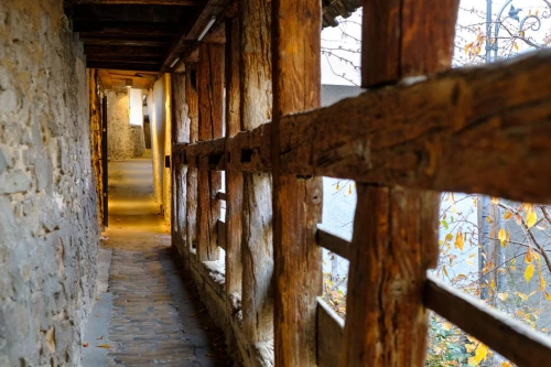 Holzgang mit Steinboden und Blättern im Herbst (KI generiert)