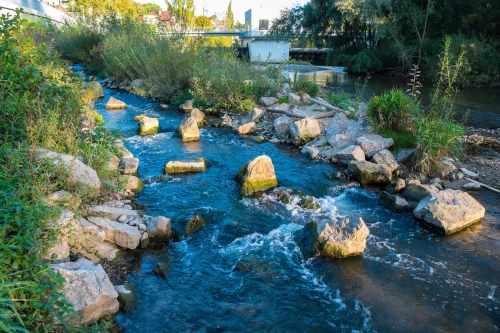 Ein Bach fließt über Steine und Felsen, umgeben von üppiger Vegetation und Gebäuden im Hintergrund. (KI generiert)