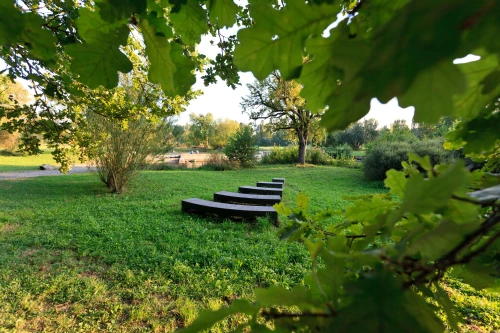 Park mit grünem Gras, Bäumen und Bänken. Im Hintergrund ist ein See zu sehen. (KI generiert)
