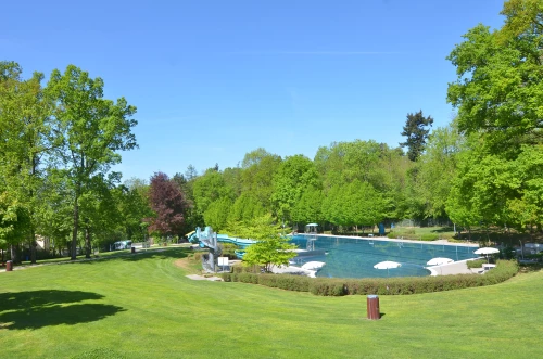 Grüner Park mit Pool, Liegestühlen und Bäumen. Sonniger Sommertag. (KI generiert)