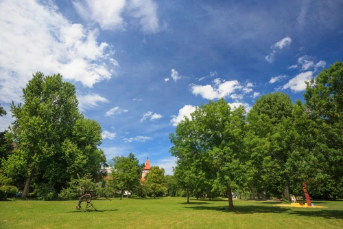 Ein Park mit grünen Bäumen und einem Gebäude im Hintergrund unter blauem Himmel mit weißen Wolken. (KI generiert)
