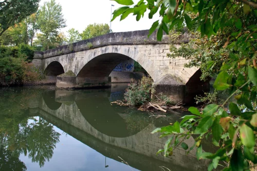 Steinerner Rundbogen einer alten Brücke über einen Fluss, umgeben von Grünpflanzen. (KI generiert)